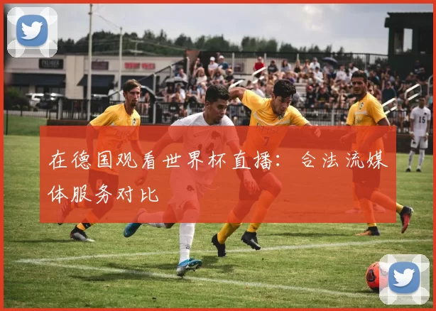 在德国观看世界杯直播:合法流媒体服务对比