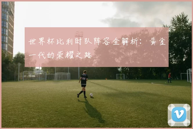 世界杯比利时队阵容全解析：黄金一代的荣耀之路