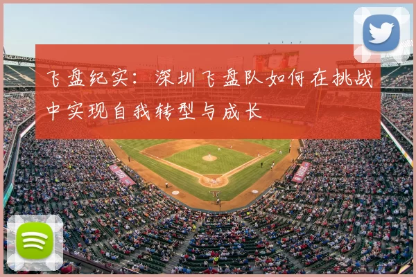 飞盘纪实：深圳飞盘队如何在挑战中实现自我转型与成长