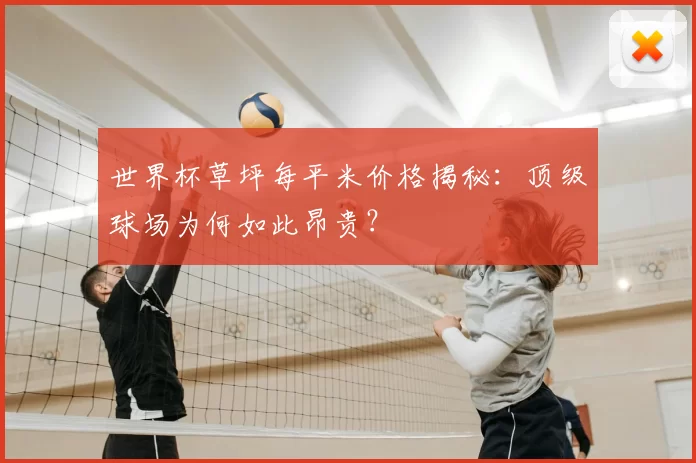 世界杯草坪每平米价格揭秘:顶级球场为何如此昂贵?