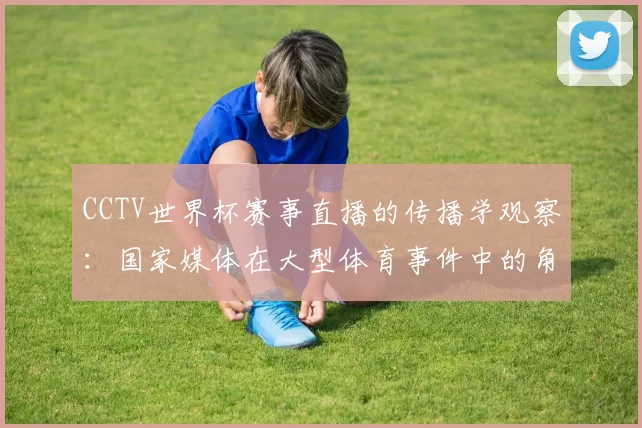 CCTV世界杯赛事直播的传播学观察:国家媒体在大型体育事件中的角色演变