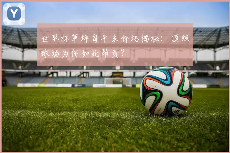 世界杯草坪每平米价格揭秘：顶级球场为何如此昂贵？