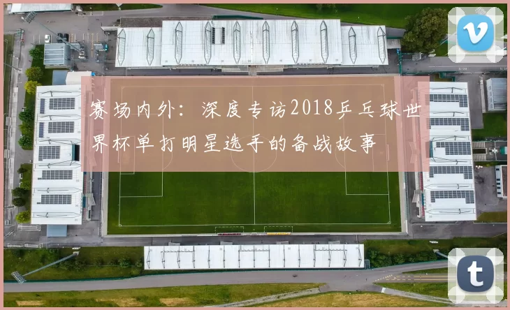 赛场内外：深度专访2018乒乓球世界杯单打明星选手的备战故事