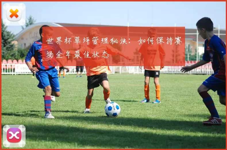 世界杯草坪管理秘诀：如何保持赛场全年最佳状态