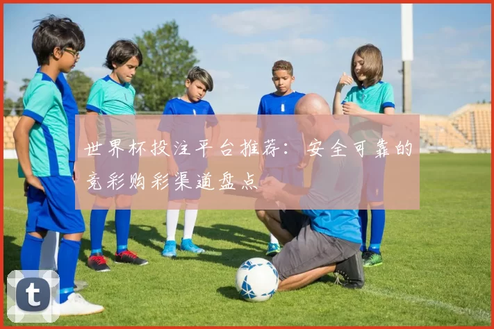 世界杯投注平台推荐：安全可靠的竞彩购彩渠道盘点