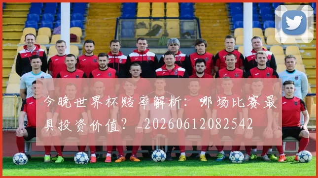 今晚世界杯赔率解析：哪场比赛最具投资价值？_20260612082542