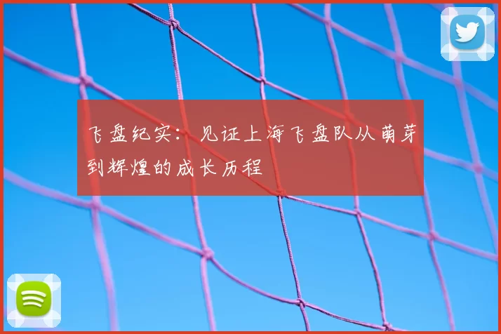飞盘纪实：见证上海飞盘队从萌芽到辉煌的成长历程