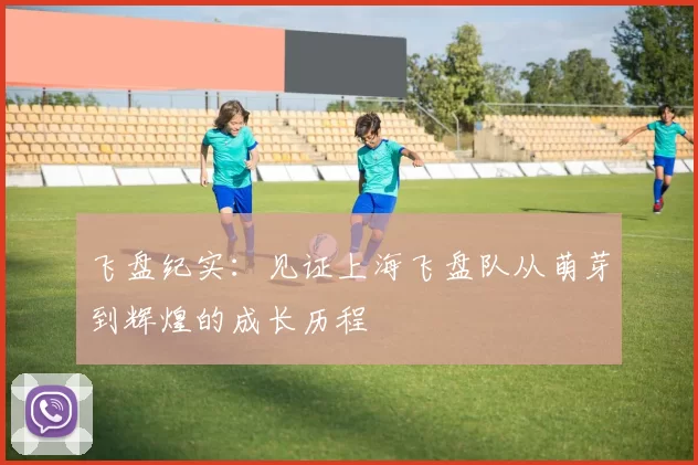 飞盘纪实：见证上海飞盘队从萌芽到辉煌的成长历程